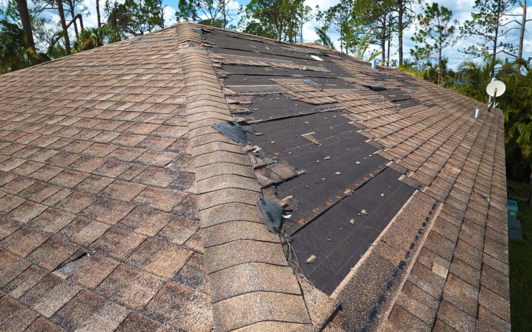 Essential Guide to Timely Roof Repair: Protecting Your Home Investment
