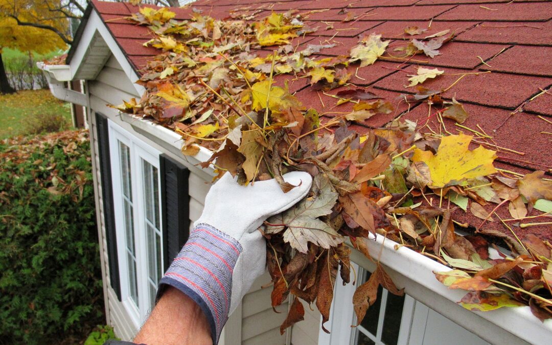 Why Gutter Maintenance Matters for Roof Longevity